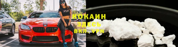 хмурый Лиски