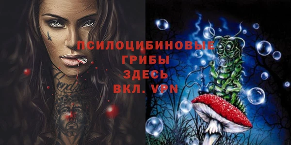 МДПВ Лагань