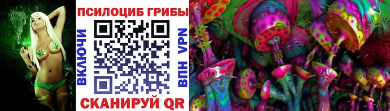Купить  Обь  Псилоцибиновые грибы прущие грибы 